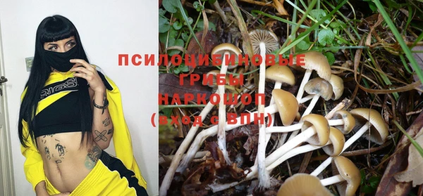 mix Пестово