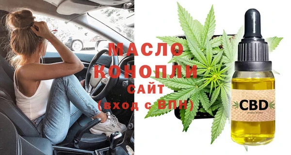 шишки Осташков