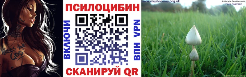 Галлюциногенные грибы прущие грибы  как найти закладки  Чёрмоз 