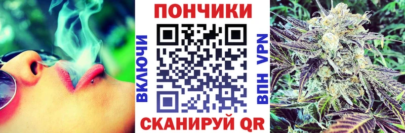 Каннабис планчик Чёрмоз